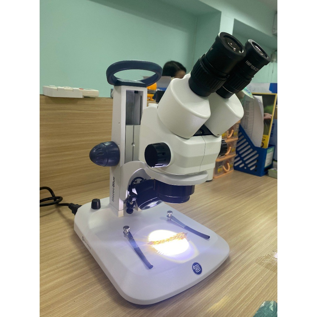 SB1702 EuromexNetherlands กล้องจุลทรรศน์สเตอริโอสองตา